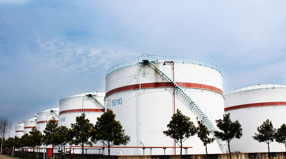 �������ǲ�(�й���)�ٷ���վ